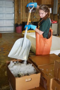 Carolina Austin shovels ice to chill outgoing voice.