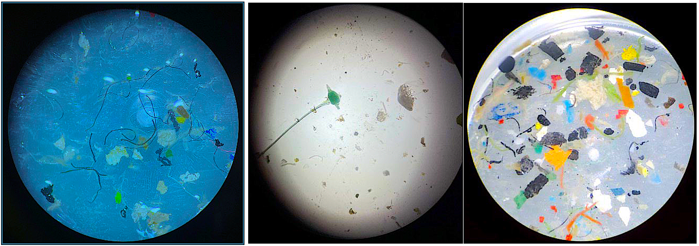 image: plastic particles under microscope.