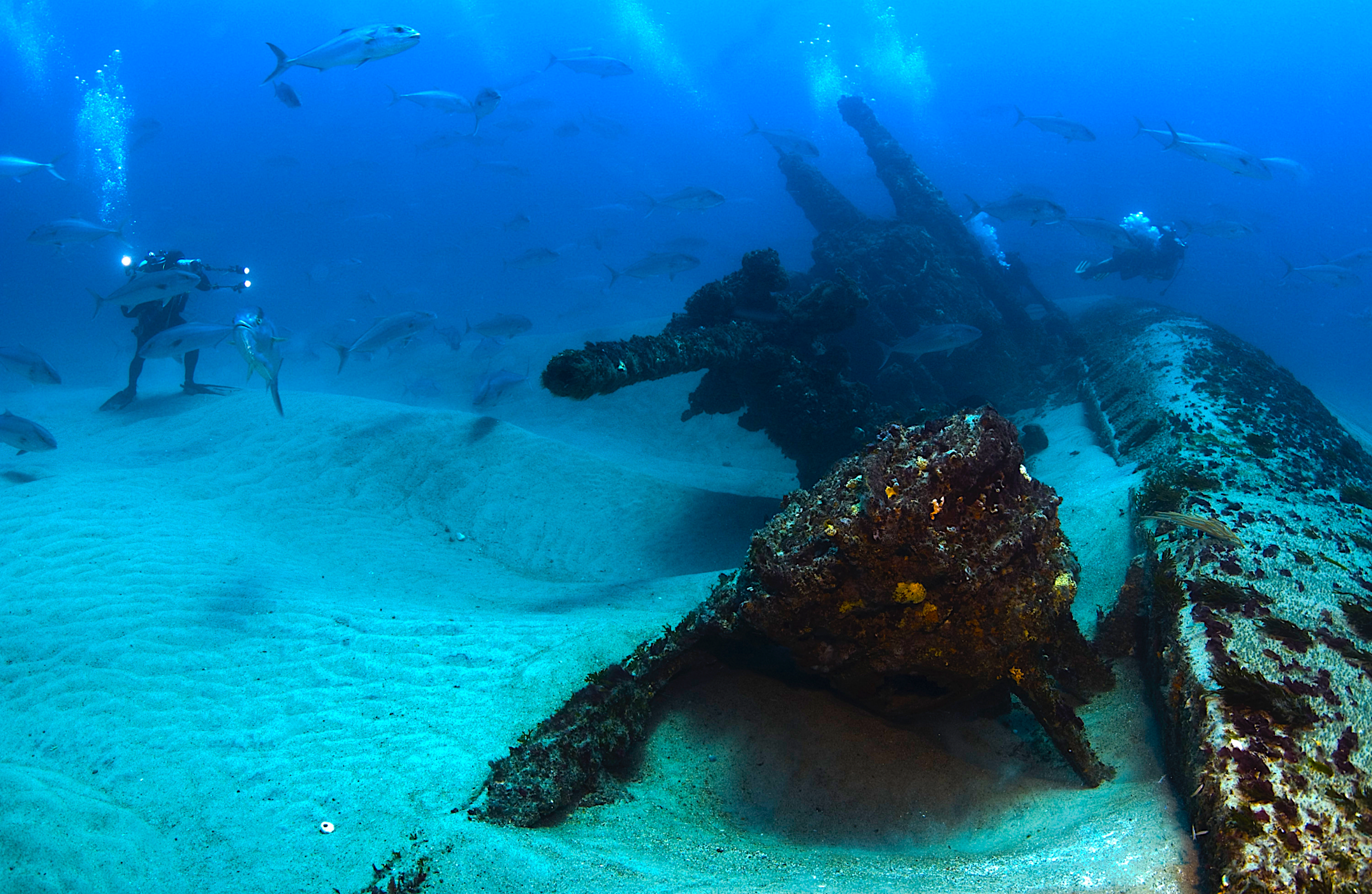 image: submerged U-boat diving site.